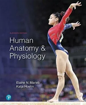 Test Bank For Human Anatomy and Physiology