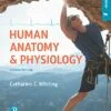 Solution Manual For Human Anatomy and Physiology Laboratory Manual: Making Connections