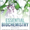 Solution Manual For Essential Biochemistry