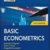 Solution Manual For Basic Econometrics