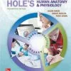 Test Bank For Hole's Human Anatomy & Physiology