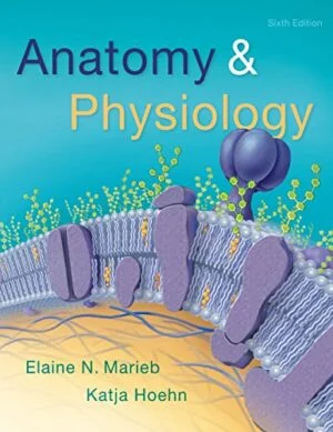 Test Bank For Anatomy & Physiology