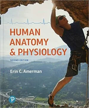 Test Bank For Human Anatomy and Physiology