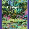 Solution Manual For Prealgebra