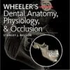 Test Bank For Wheeler's Dental Anatomy