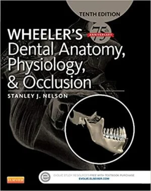 Test Bank For Wheeler's Dental Anatomy