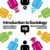 Test Bank For Introduction to Sociology