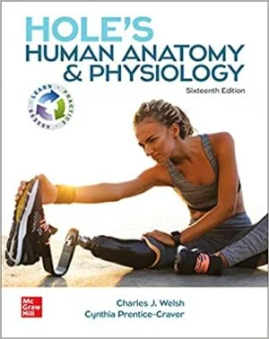 Test Bank For Hole's Human Anatomy and Physiology