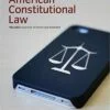 Solution Manual For American Constitutional Law