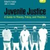 Test Bank For Juvenile Justice: A Guide to Theory