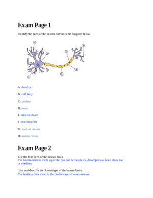 BIOD152 Anatomy and Physiology Practice Final Exam With Answers (12 Solved Questions)
