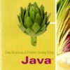 Solution Manual for Data Structures and Problem Solving Using Java